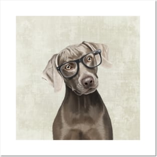 The elegant Mr. Weimaraner Posters and Art